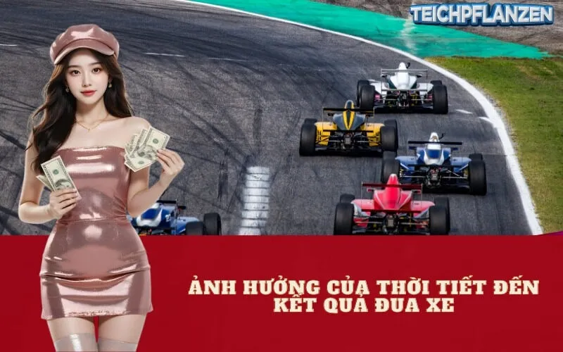 Ảnh hưởng của thời tiết đến kết quả đua xe