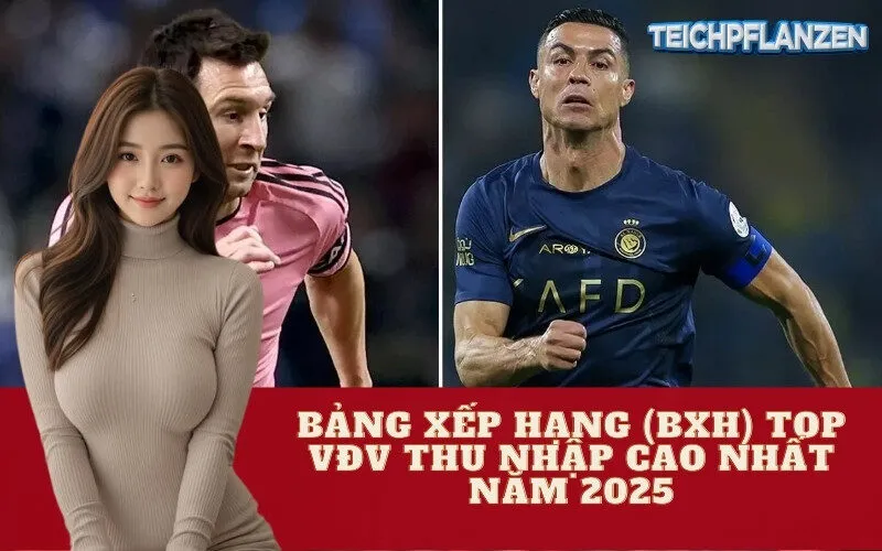 Bảng Xếp Hạng (BXH) Top VĐV Thu Nhập Cao Nhất Năm 2025