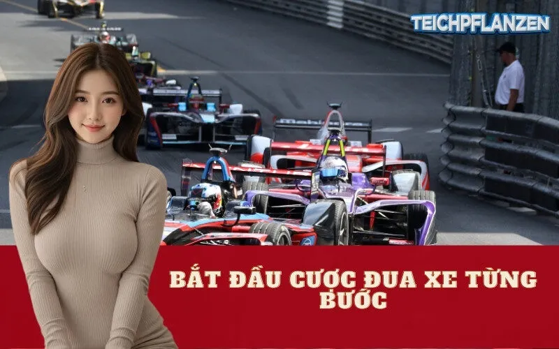 Bắt Đầu Cược Đua Xe Từng Bước