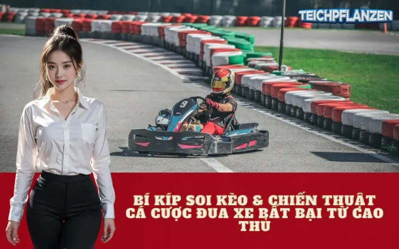 Bí Kíp Soi Kèo & Chiến Thuật Cá Cược Đua Xe Bất Bại Từ Cao Thủ