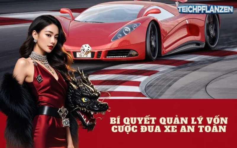 Bí quyết quản lý vốn cược đua xe an toàn
