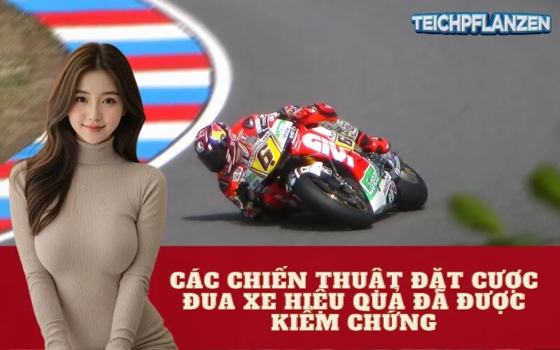 Các Chiến Thuật Đặt Cược Đua Xe Hiệu Quả Đã Được Kiểm Chứng