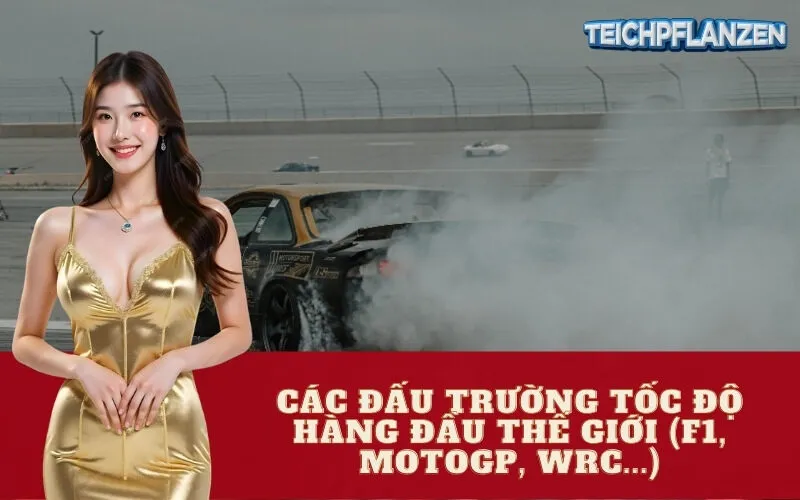 Các Đấu Trường Tốc Độ Hàng Đầu Thế Giới (F1, MotoGP, WRC...)