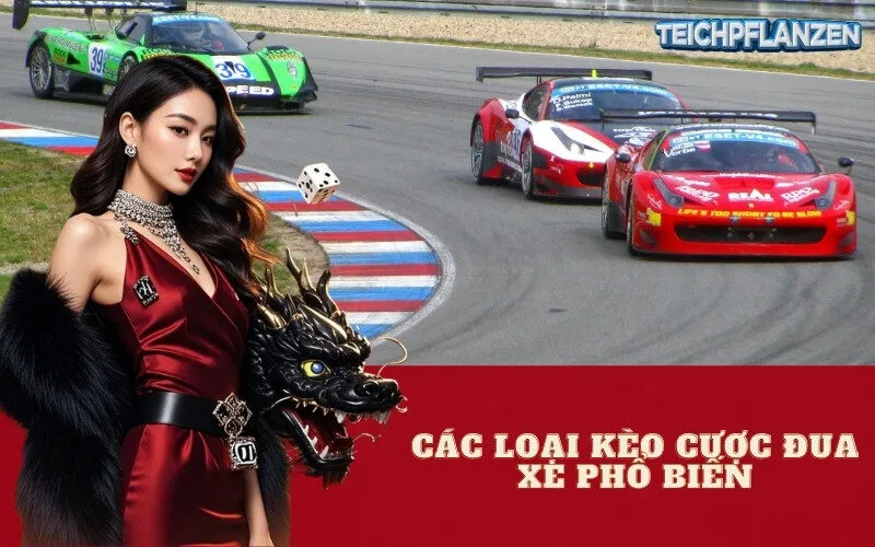Các Loại Kèo Cược Đua Xe Phổ Biến