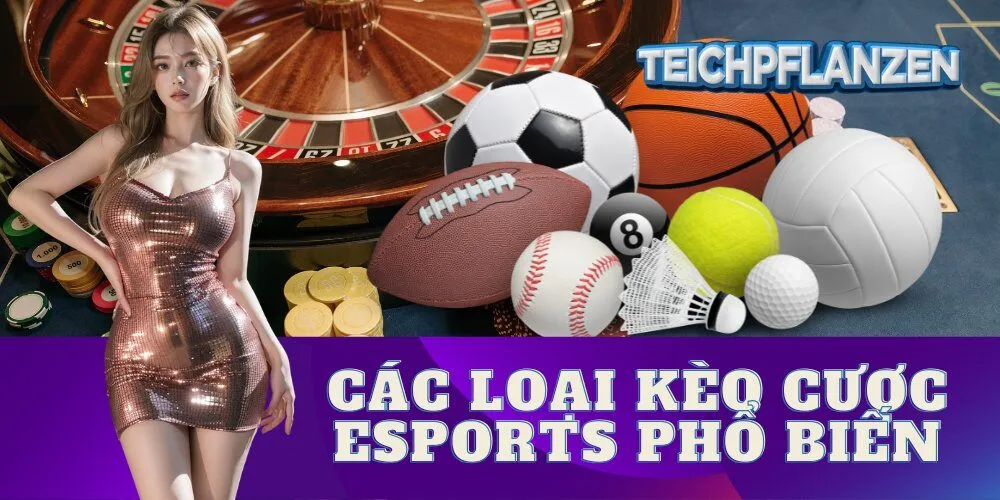 Các Loại Kèo Cược Esports Phổ Biến