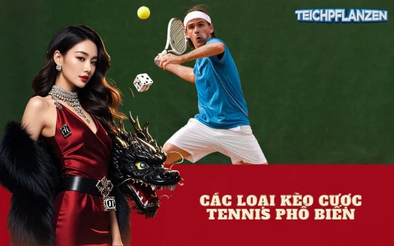 Các Loại Kèo Cược Tennis Phổ Biến
