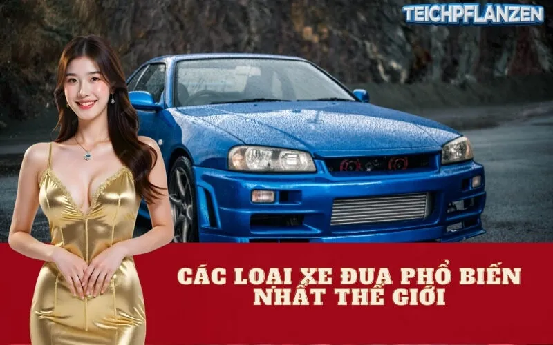Các Loại Xe Đua Phổ Biến Nhất Thế Giới
