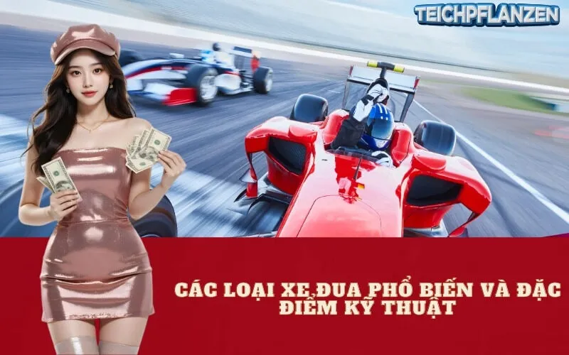 Các loại xe đua phổ biến và đặc điểm kỹ thuật