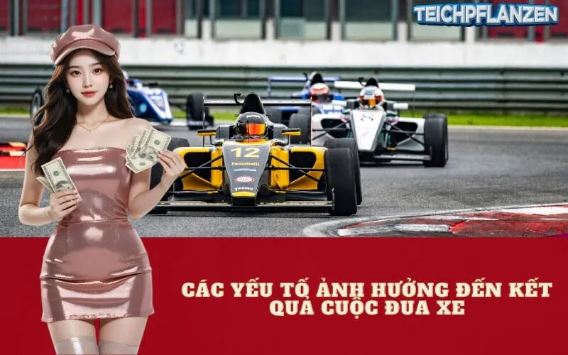 Các yếu tố ảnh hưởng đến kết quả cuộc đua xe