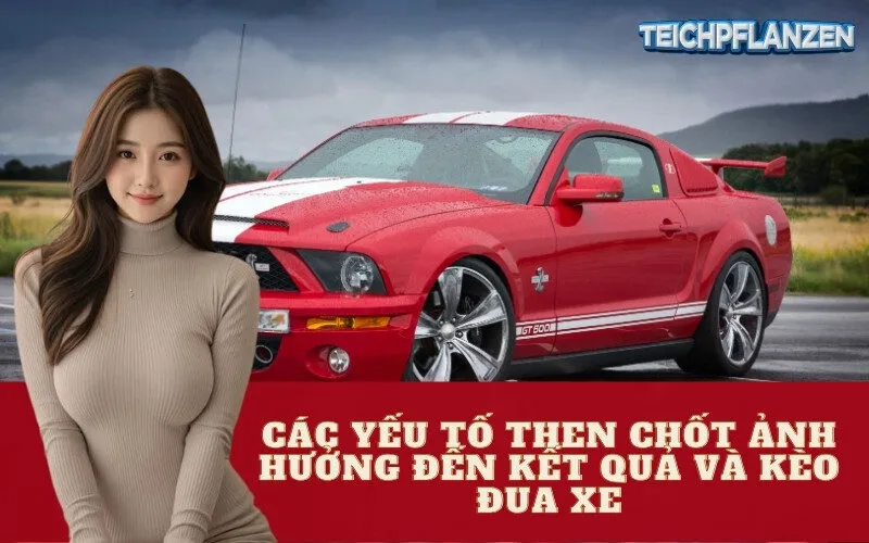 Các Yếu Tố Then Chốt Ảnh Hưởng Đến Kết Quả và Kèo Đua Xe