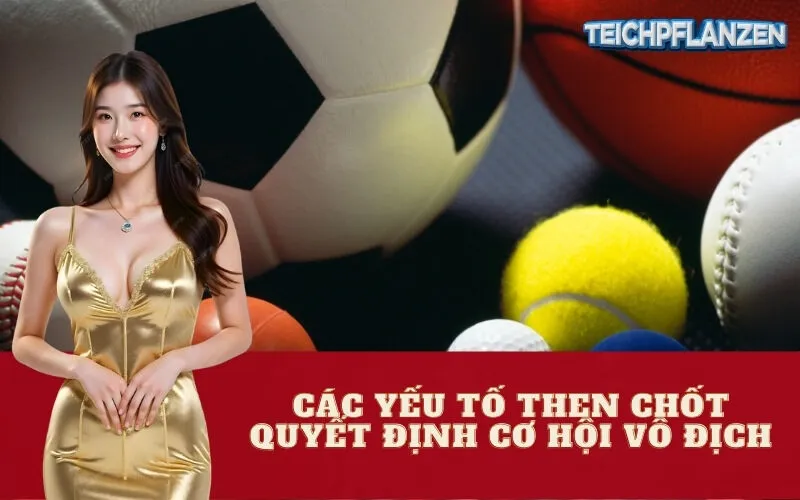 Các Yếu Tố Then Chốt Quyết Định Cơ Hội Vô Địch