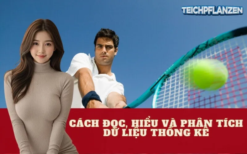 Cách Đọc, Hiểu và Phân Tích Dữ Liệu Thống Kê