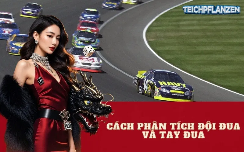 Cách phân Tích Đội Đua và Tay Đua