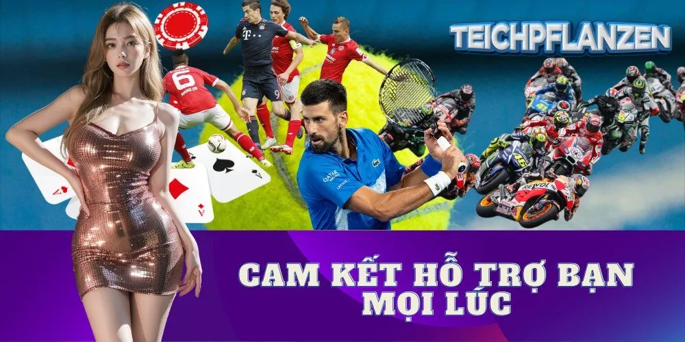 Cam Kết Hỗ Trợ Bạn Mọi Lúc