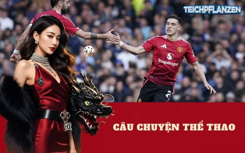Câu Chuyện Thể Thao