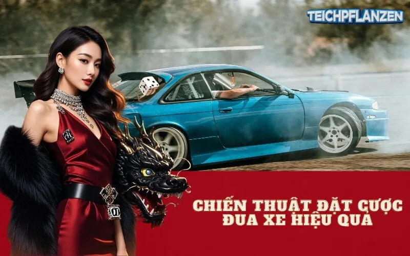 Chiến Thuật Đặt Cược Đua Xe Hiệu Quả