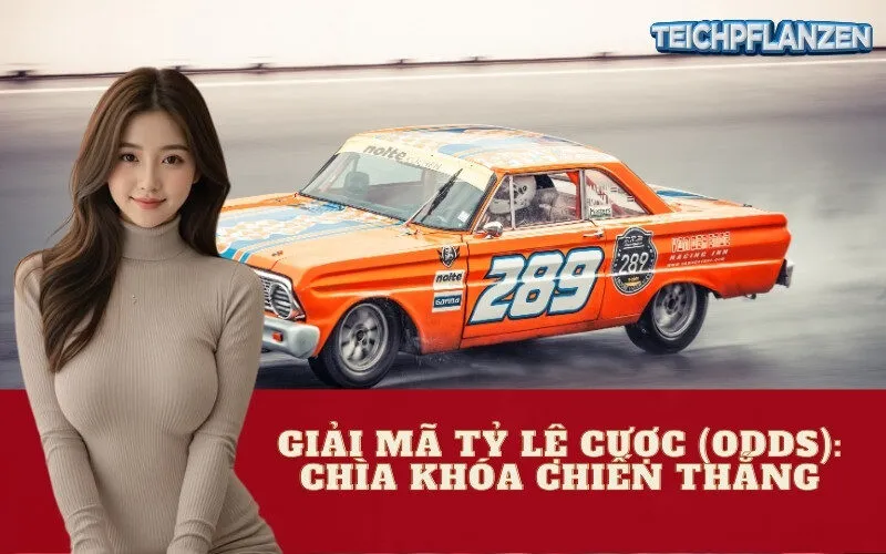 Giải Mã Tỷ Lệ Cược (Odds): Chìa Khóa Chiến Thắng