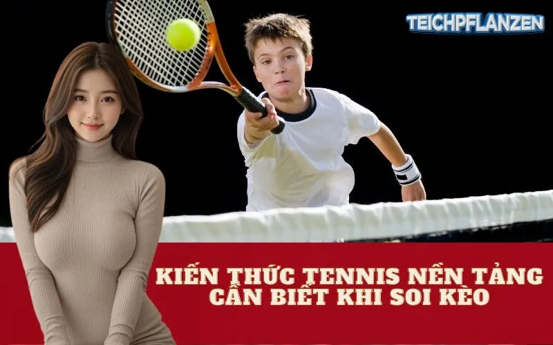 Kiến Thức Tennis Nền Tảng Cần Biết Khi Soi Kèo