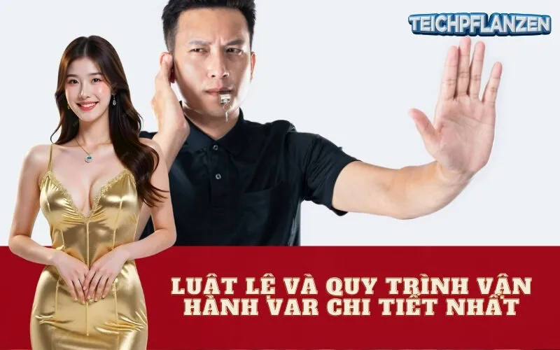 Luật Lệ và Quy Trình Vận Hành VAR Chi Tiết Nhất