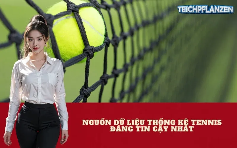 Nguồn Dữ Liệu Thống Kê Tennis Đáng Tin Cậy Nhất