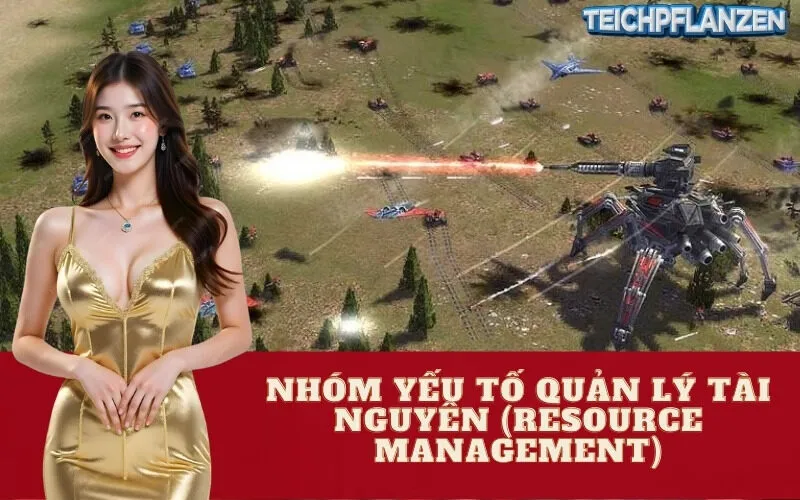 Nhóm Yếu Tố Quản Lý Tài Nguyên (Resource Management)