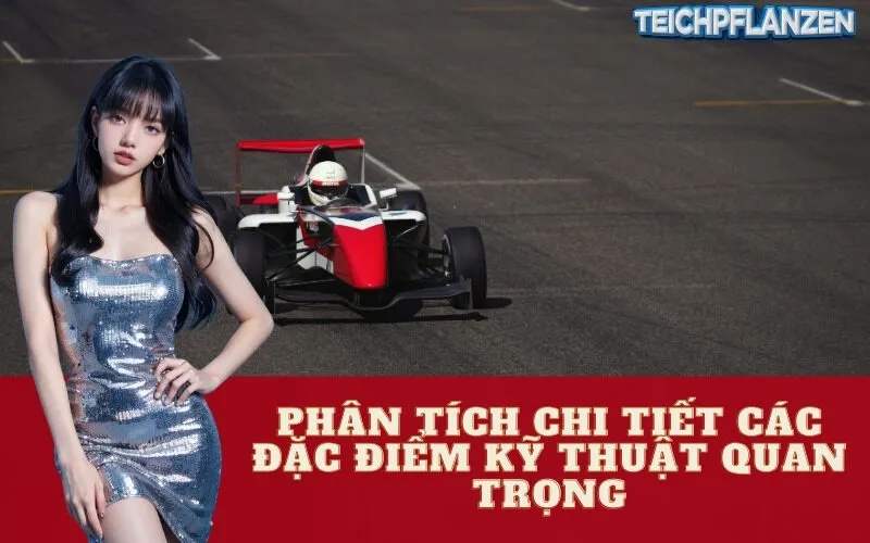 Phân Tích Chi Tiết Các Đặc Điểm Kỹ Thuật Quan Trọng