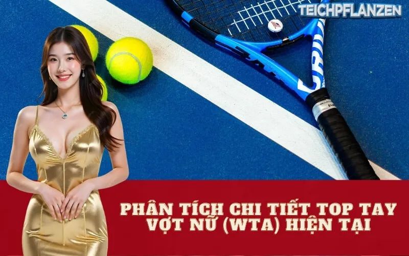 Phân Tích Chi Tiết Top Tay Vợt Nữ (WTA) Hiện Tại