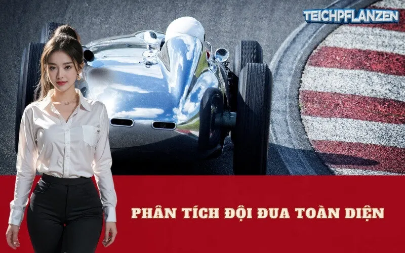 Phân Tích Đội Đua Toàn Diện