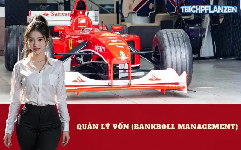 Quản Lý Vốn (Bankroll Management)