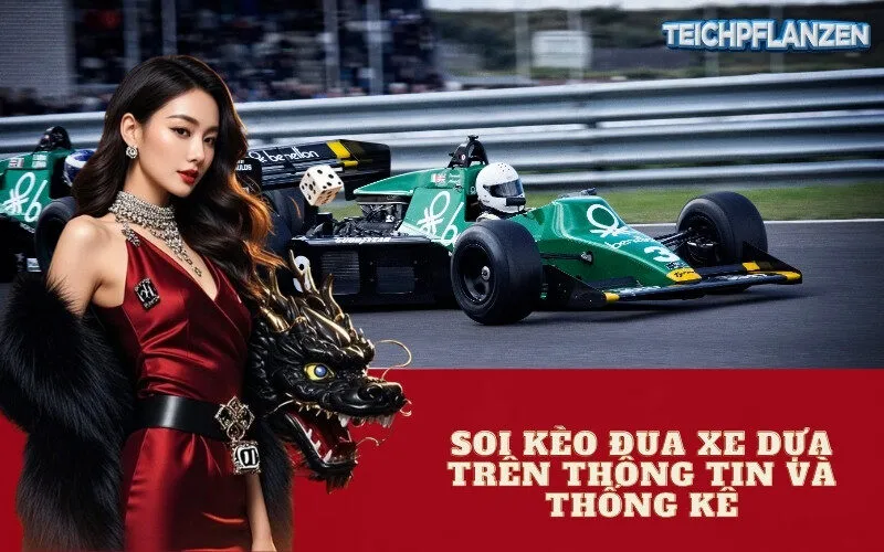 Soi kèo đua xe dựa trên thông tin và thống kê