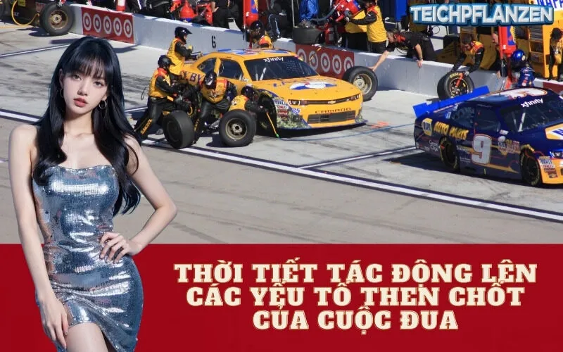 Thời Tiết Tác Động Lên Các Yếu Tố Then Chốt Của Cuộc Đua