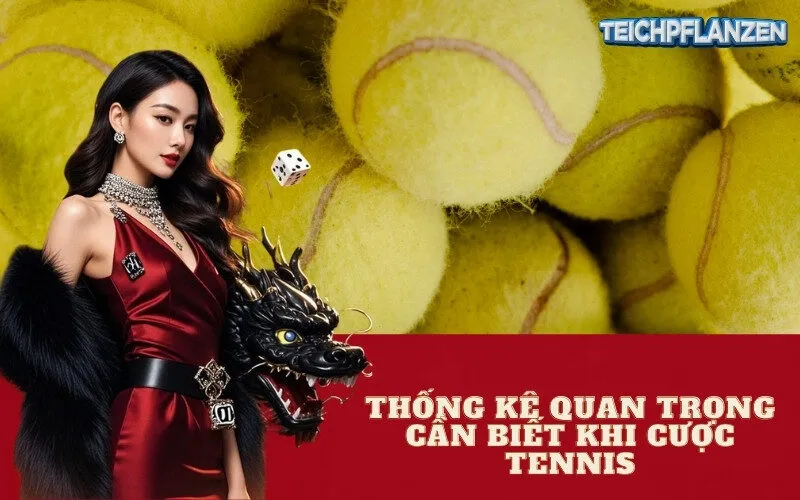 Thống Kê Quan Trọng Cần Biết Khi Cược Tennis
