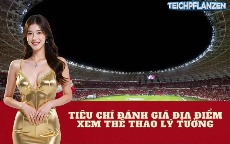 Tiêu chí đánh giá địa điểm xem thể thao lý tưởng
