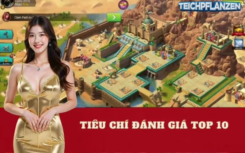 Tiêu Chí Đánh Giá Top 10