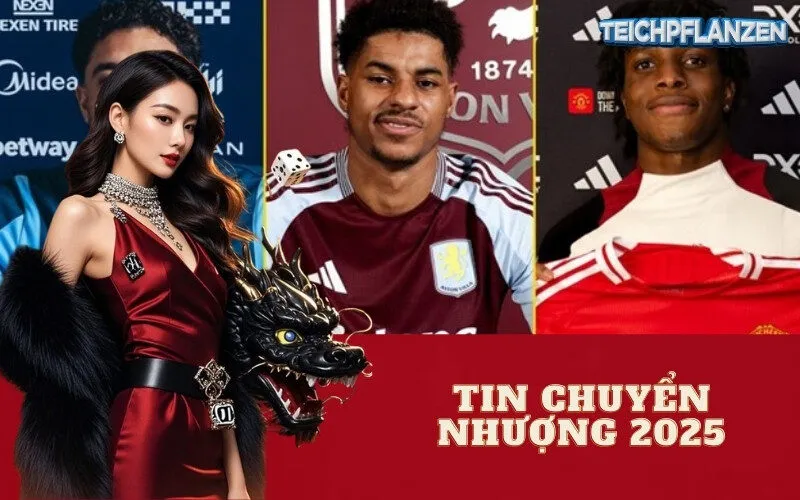 Tin Chuyển Nhượng 2025