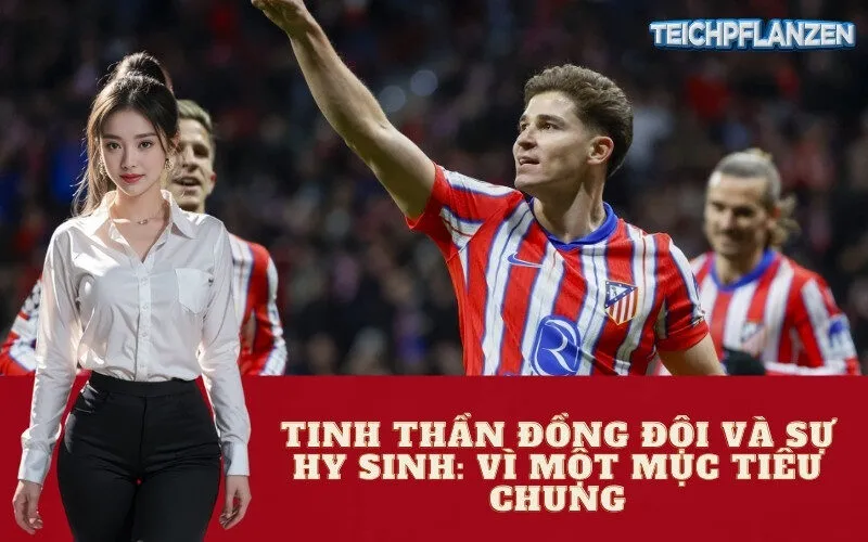 Tinh Thần Đồng Đội và Sự Hy Sinh: Vì Một Mục Tiêu Chung