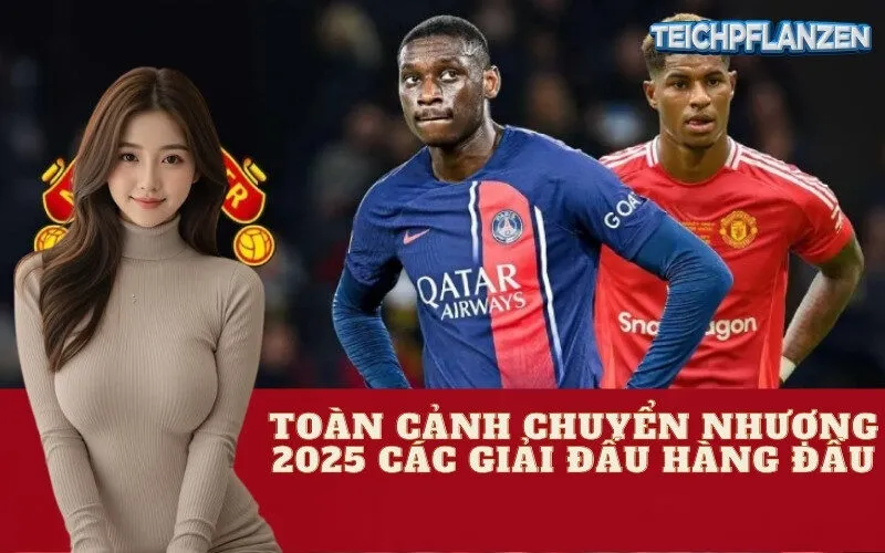 Toàn Cảnh Chuyển Nhượng 2025 Các Giải Đấu Hàng Đầu