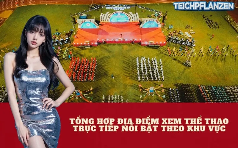 Tổng hợp địa điểm xem thể thao trực tiếp nổi bật theo khu vực