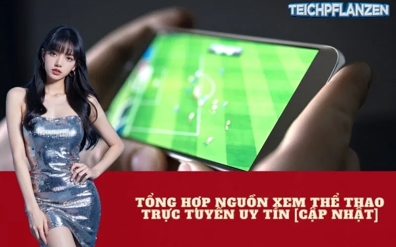 Tổng Hợp Nguồn Xem Thể Thao Trực Tuyến Uy Tín [Cập Nhật]