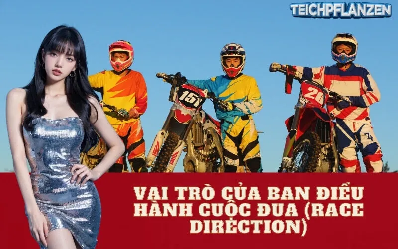 Vai Trò Của Ban Điều Hành Cuộc Đua (Race Direction)