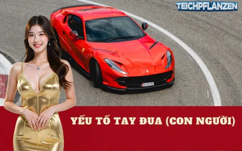 Yếu Tố Tay Đua (Con người)