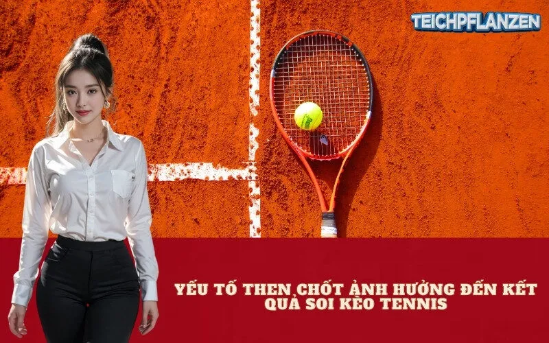 Yếu Tố Then Chốt Ảnh Hưởng Đến Kết Quả Soi Kèo Tennis