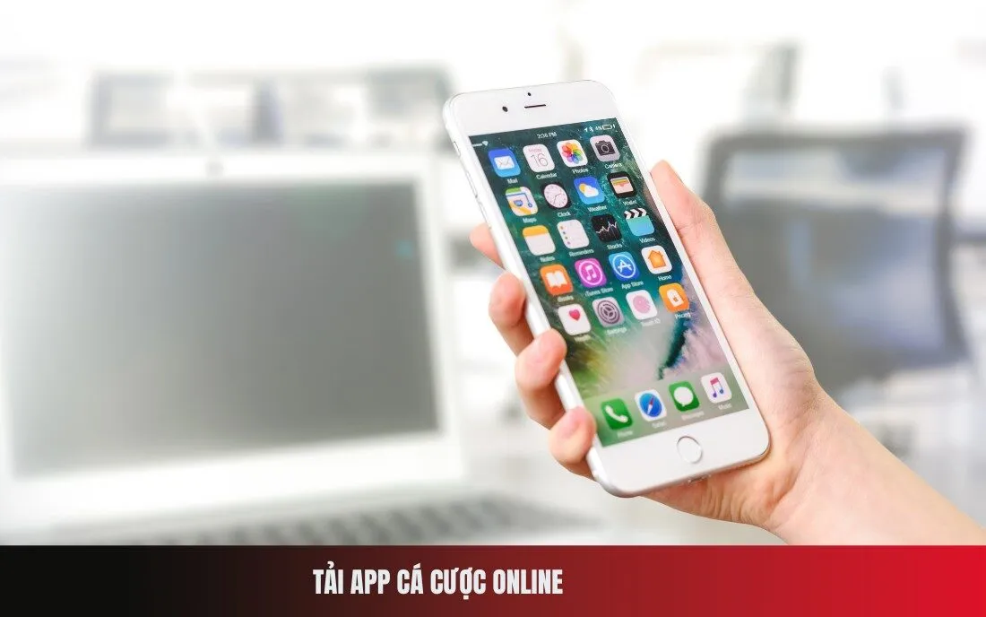 Tải app cá cược online