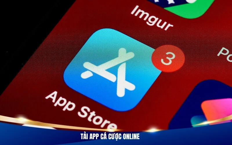 Tải App Cá Cược Online