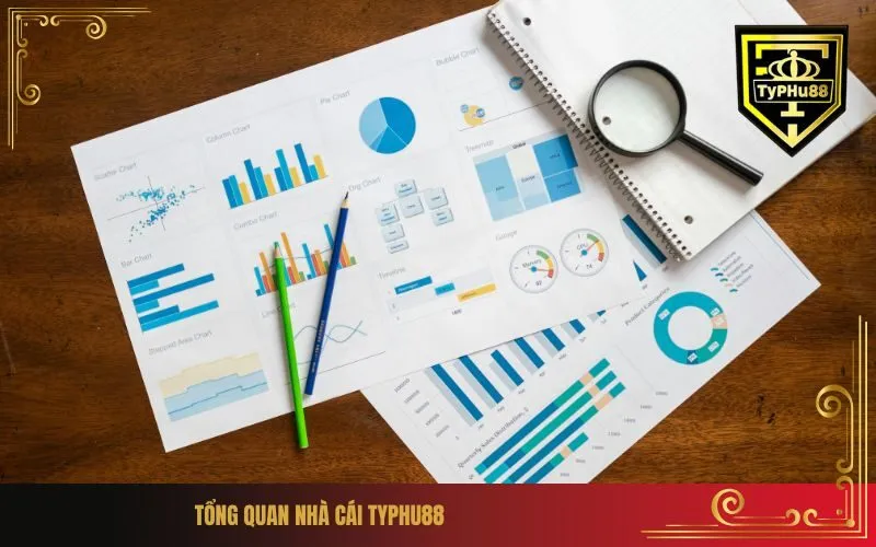 Tổng quan nhà cái Typhu88
