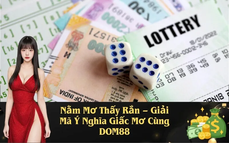 Nằm Mơ Thấy Rắn – Giải Mã Ý Nghĩa Giấc Mơ Cùng DOM88
